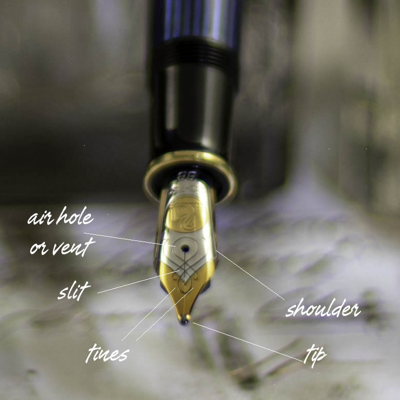 The nib