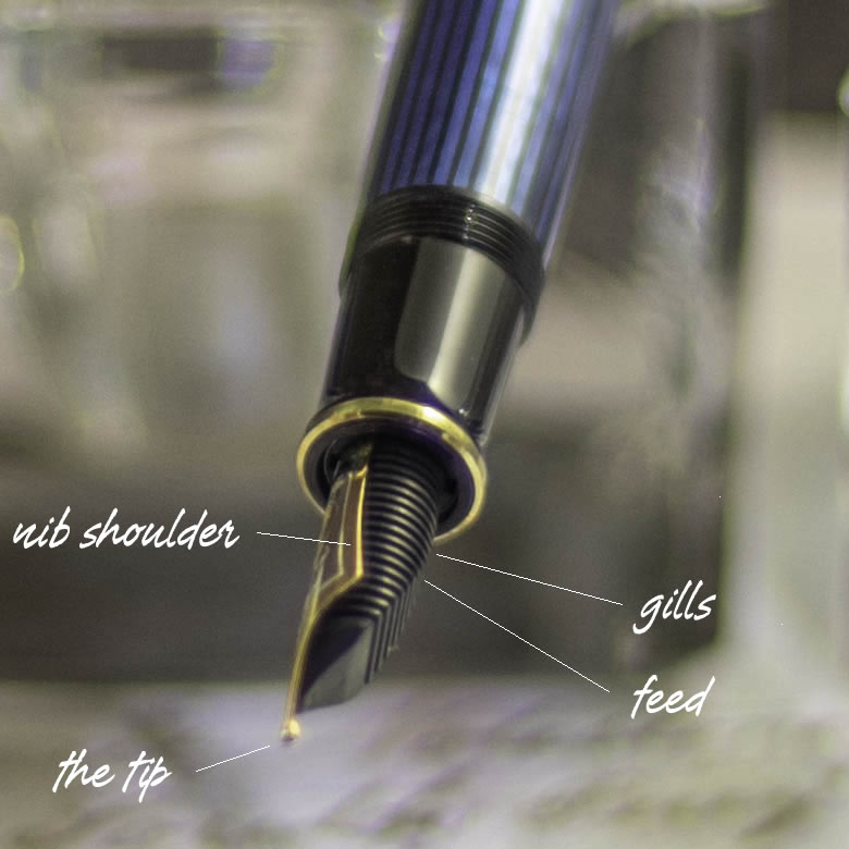 Underview of nib