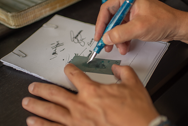 About the writing experience